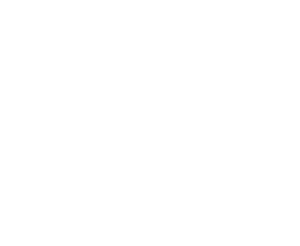 NZa Logo